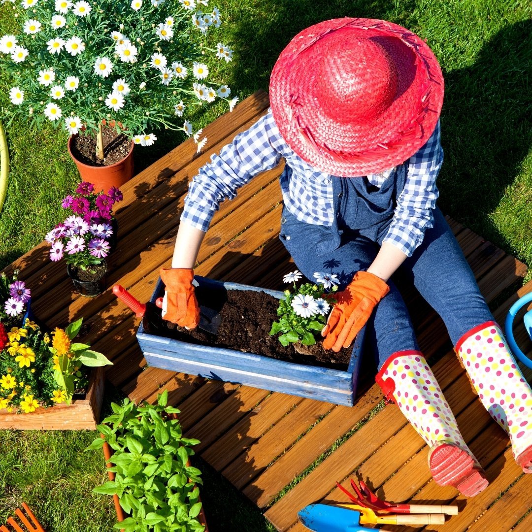 Сад и огород надпись