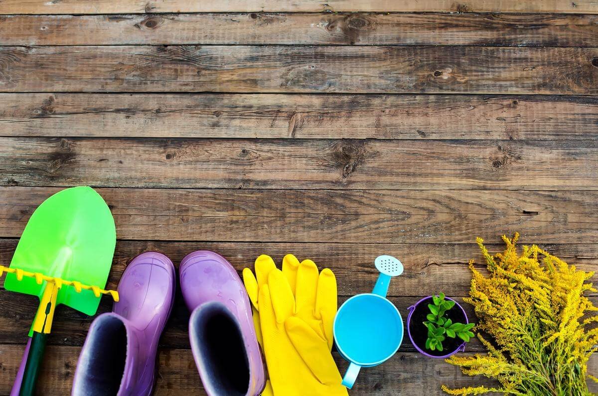 Садовый инвентарь
