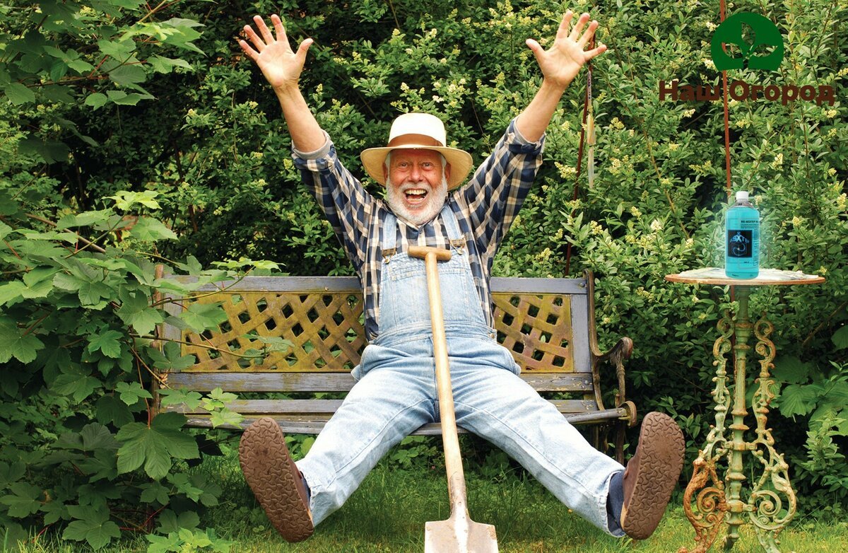 Анекдоты про огород