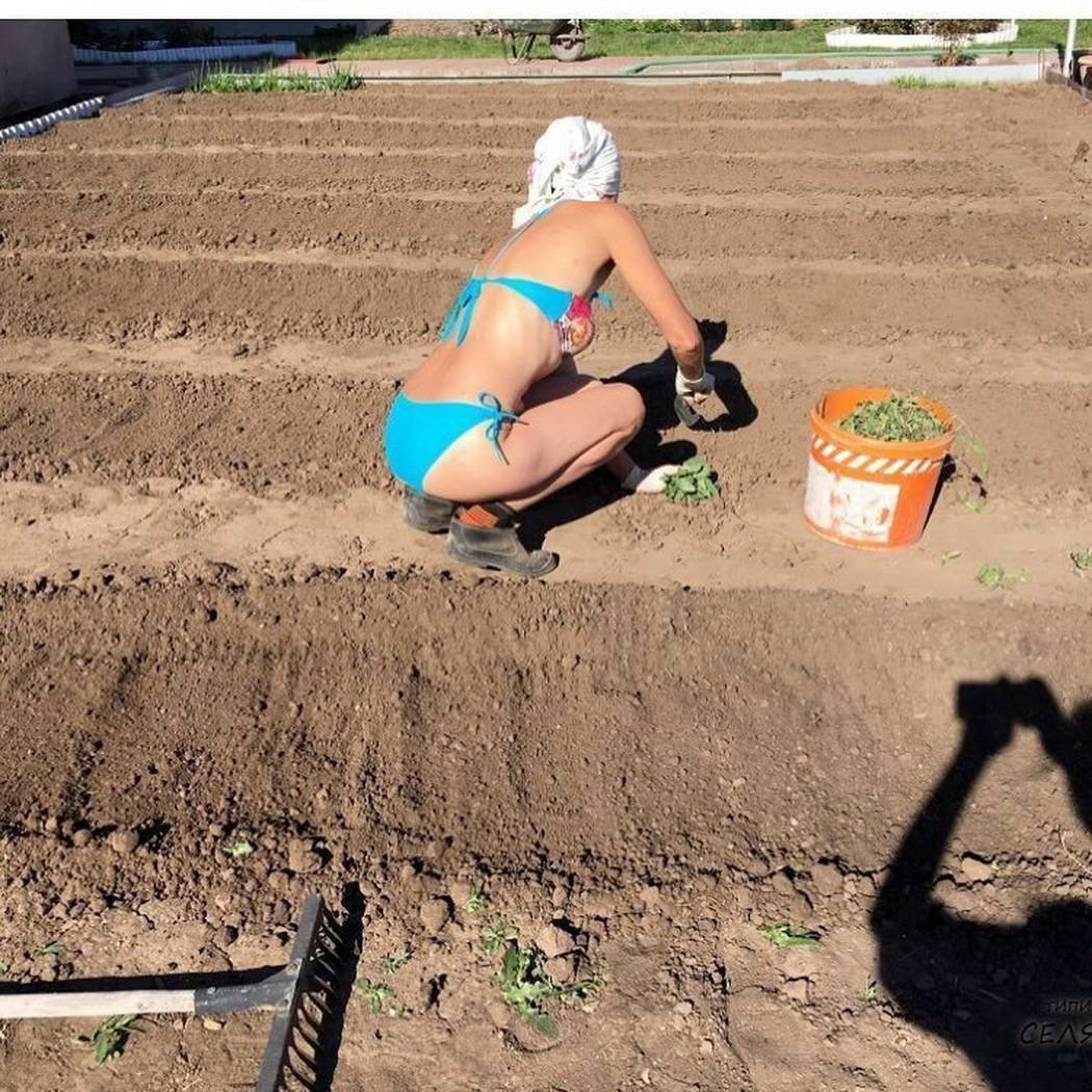 Перекопка почвы