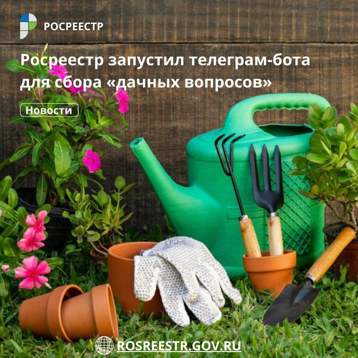 Модница огородница