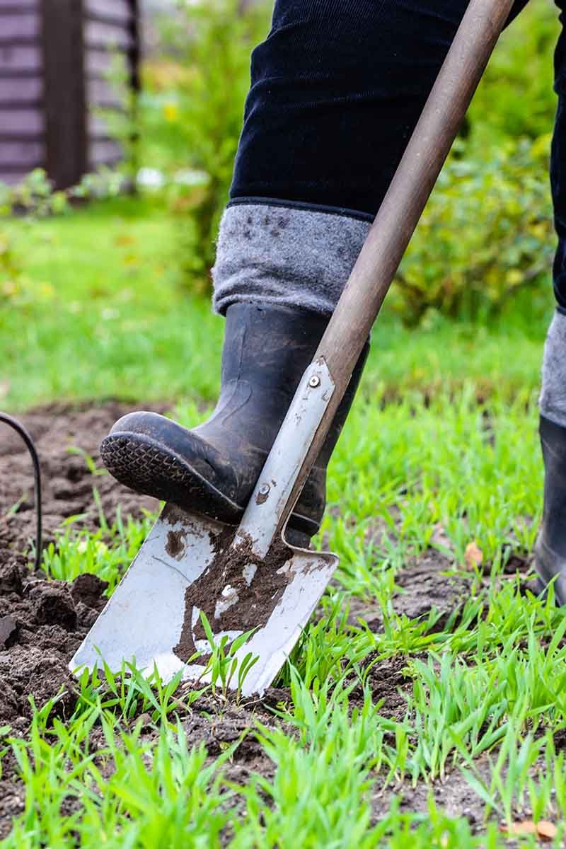 Картинки начало дачного сезона