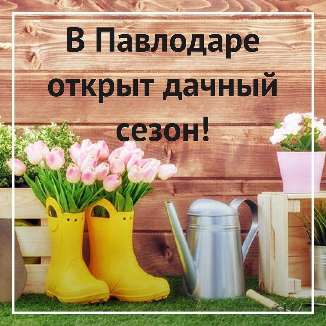 Пора сажать