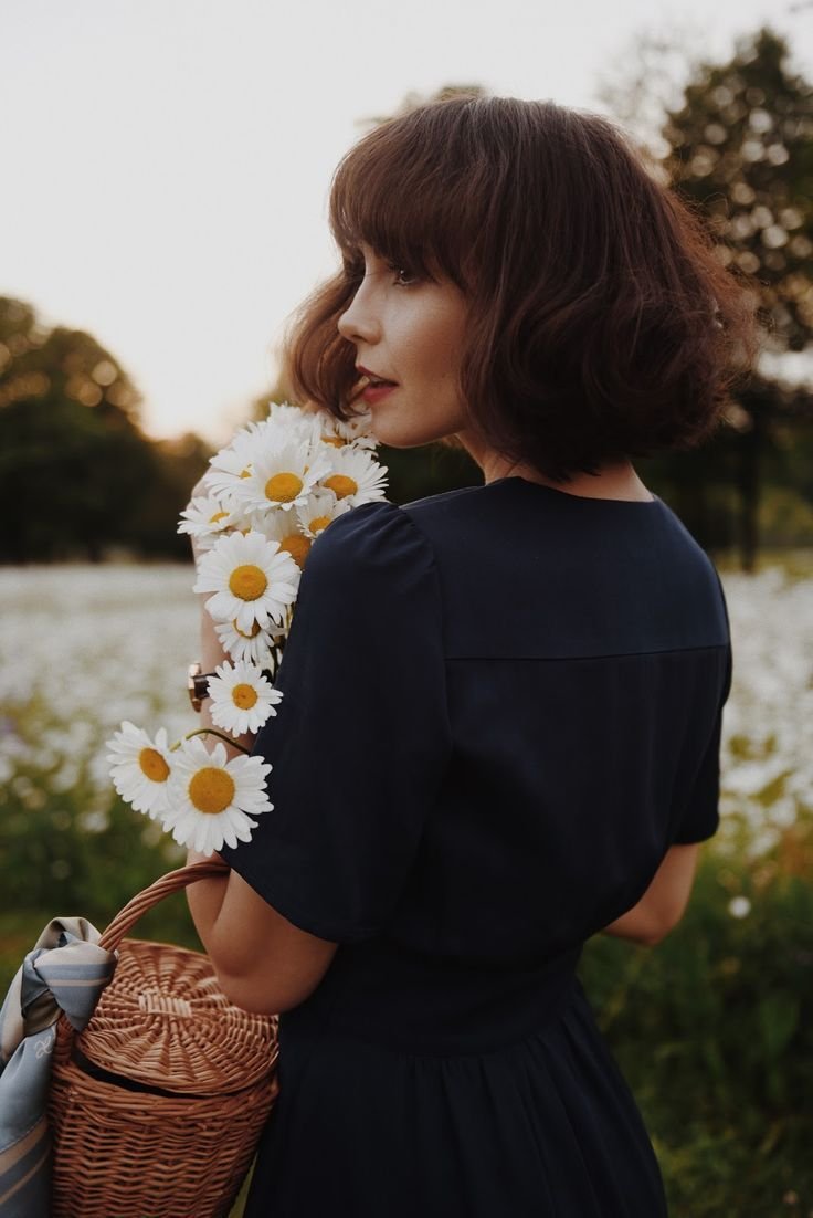 Ромашки Эстетика