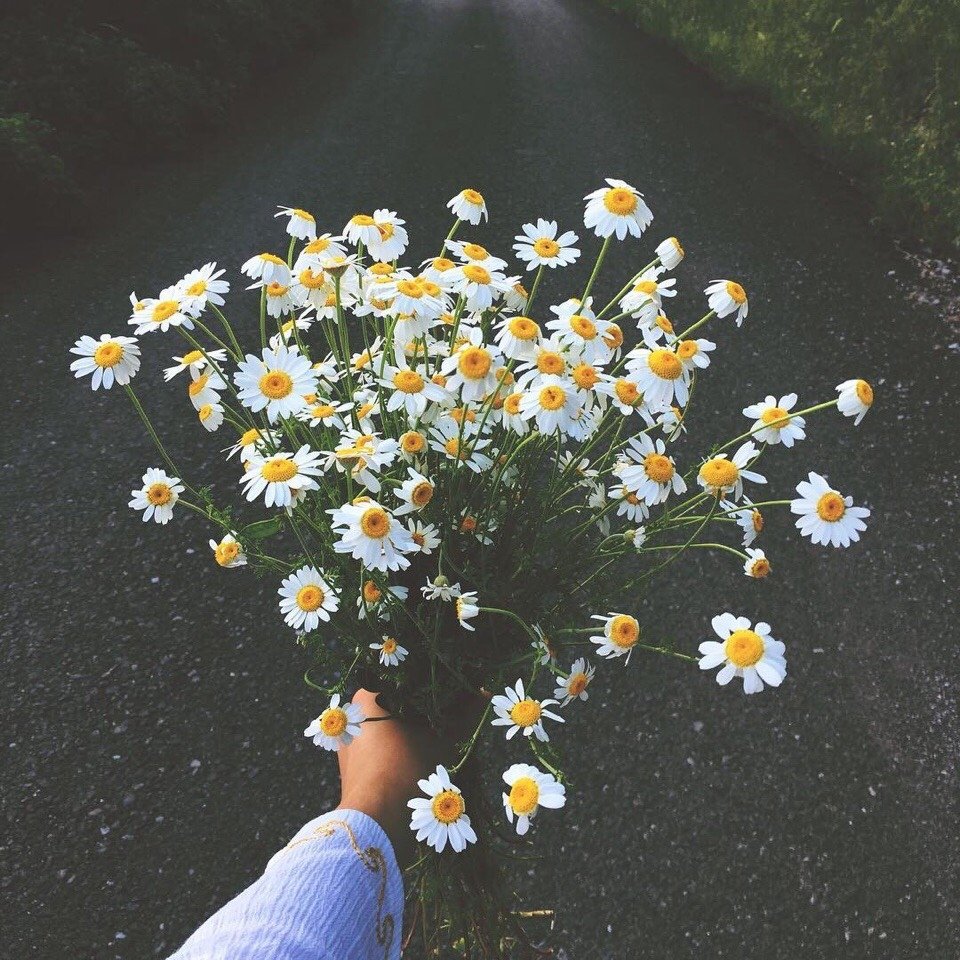 Кеды Эстетика с цветами