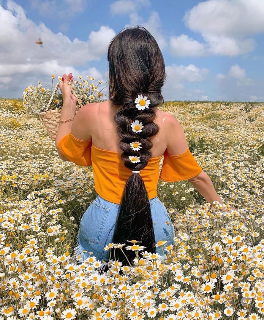 Букет ромашек для любимой