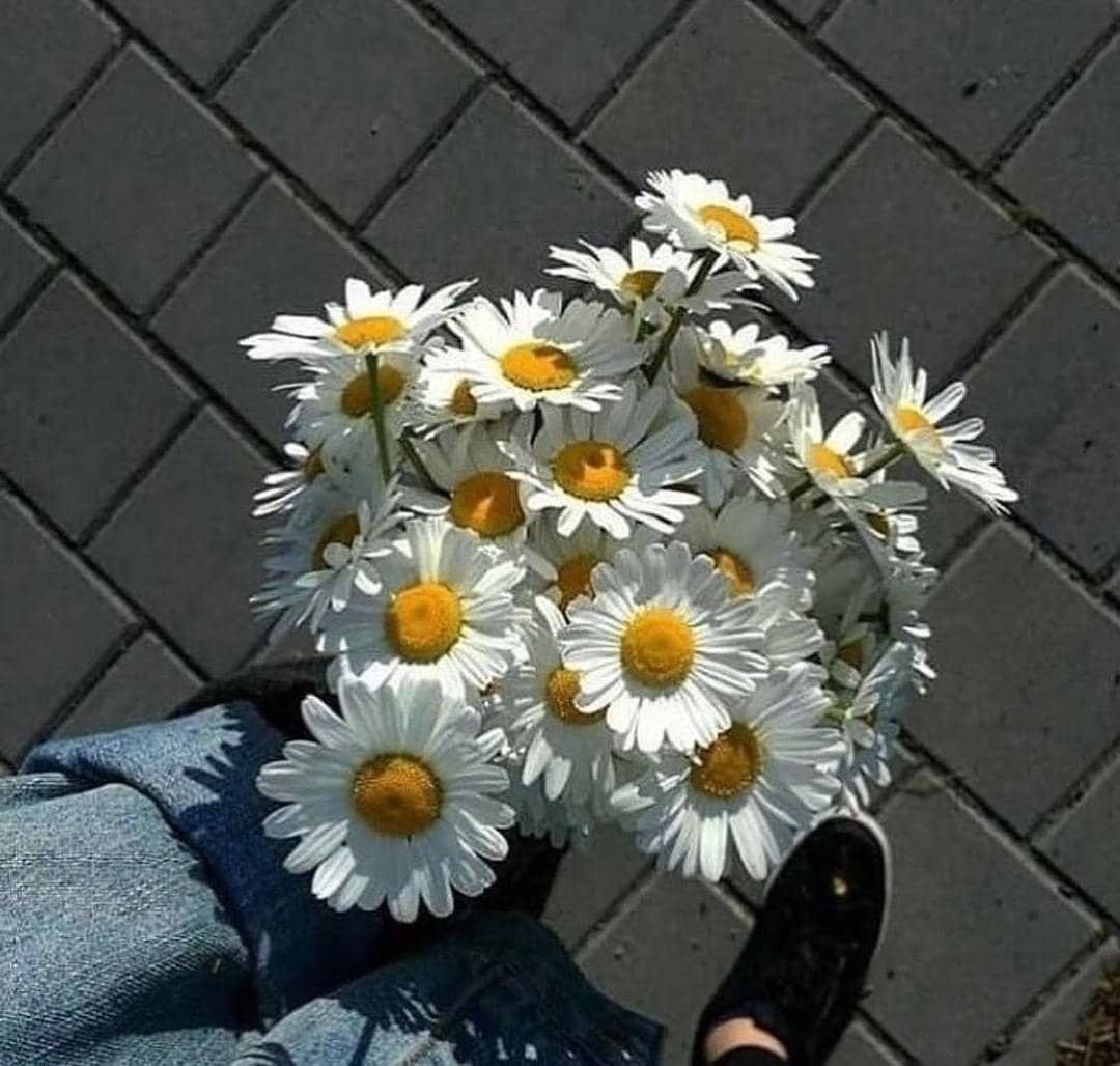 Фотосессия в ромашках идеи