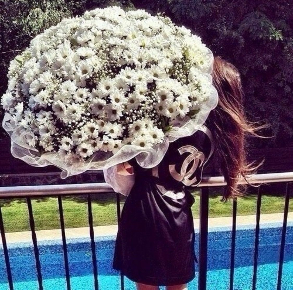 Ромашки в руках