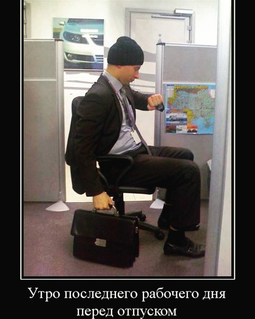 Забавные собаки с подписями