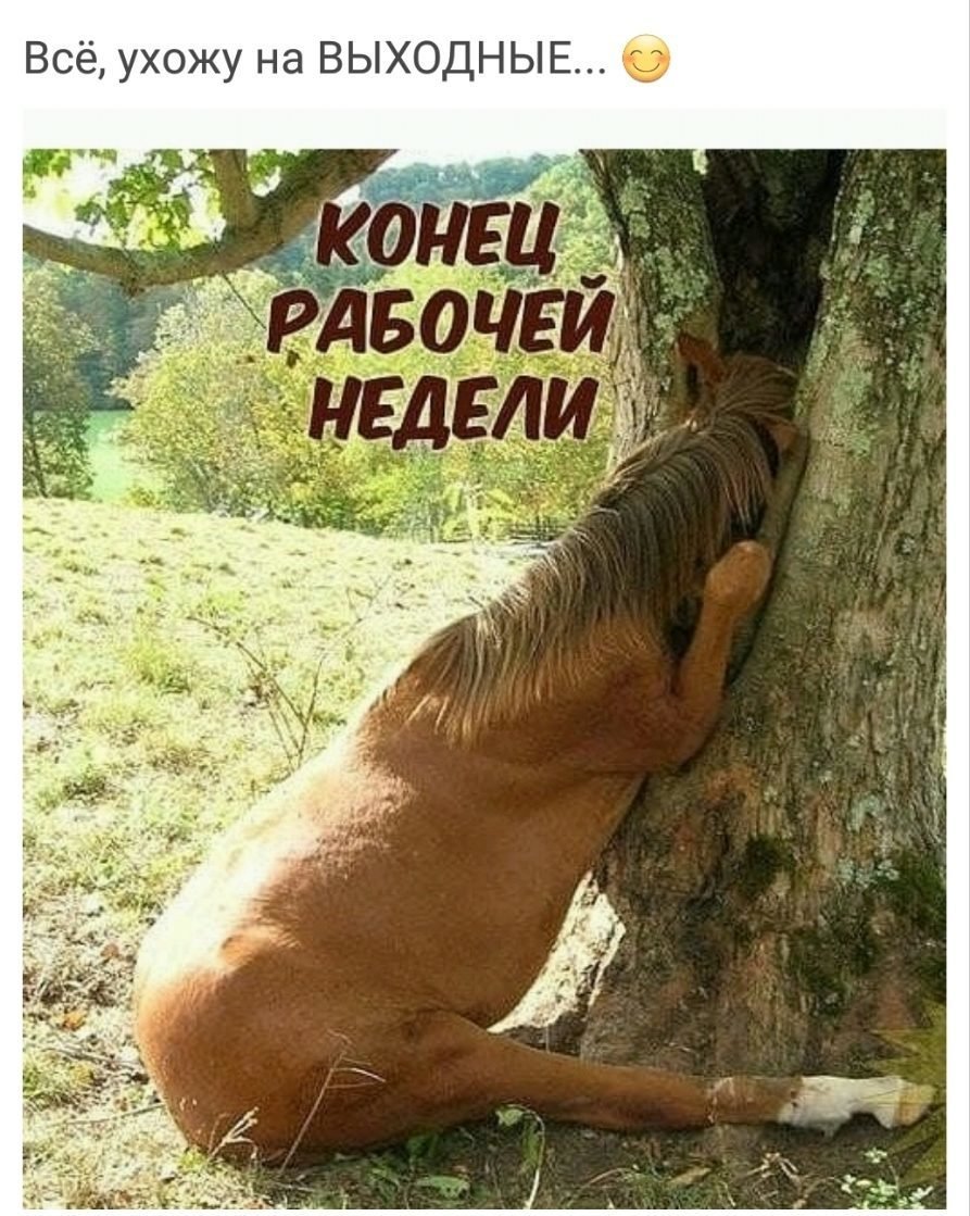 Последний день перед отпуском