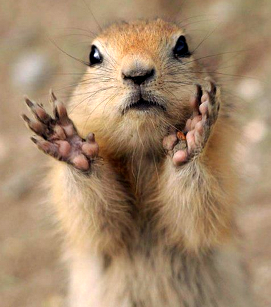 Рабочая неделя приколы