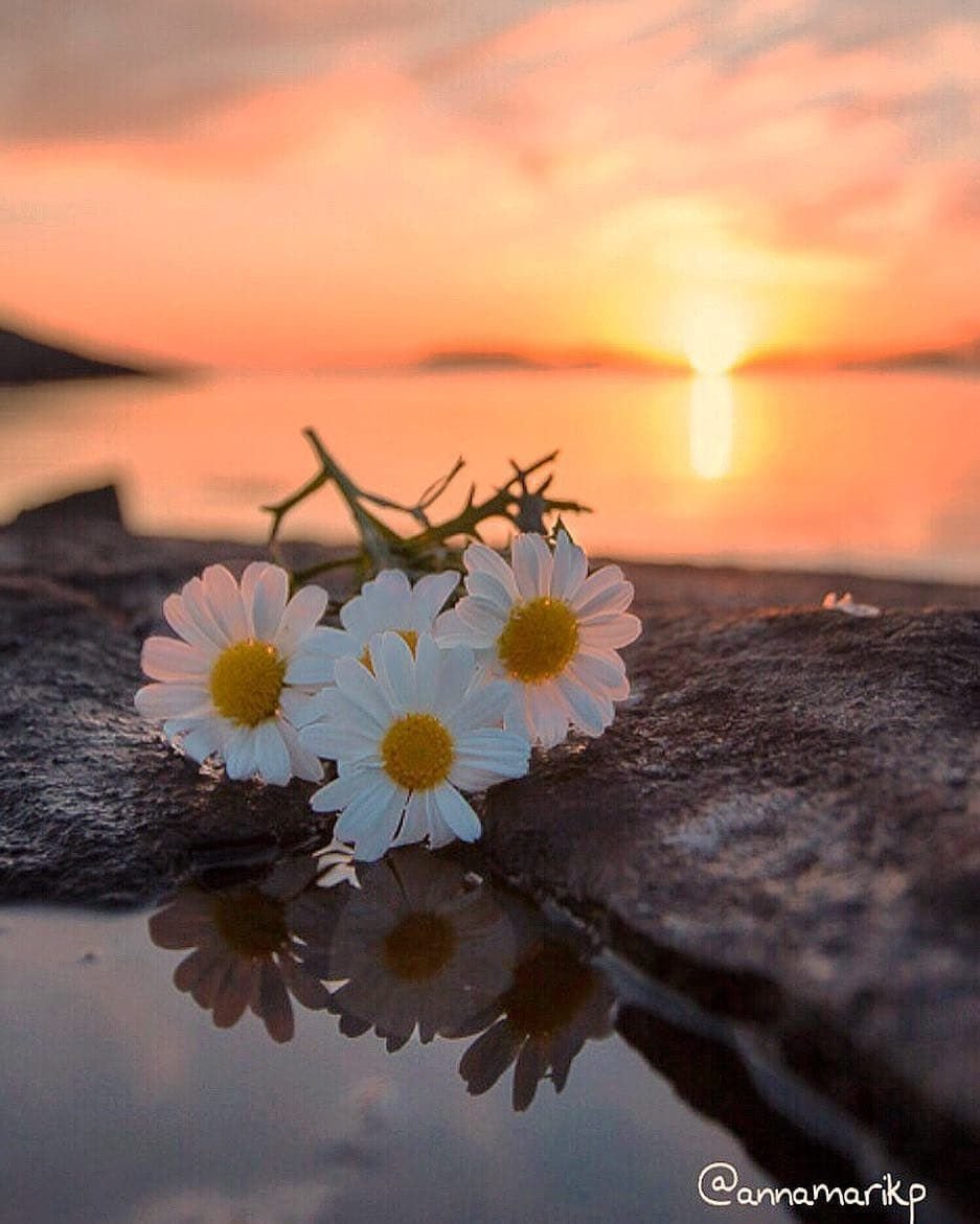 Дивная природа