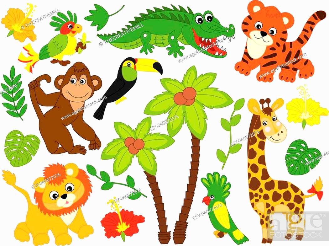 Животные джунглей на белом фоне