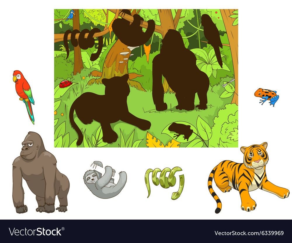 Найди тень животные джунглей