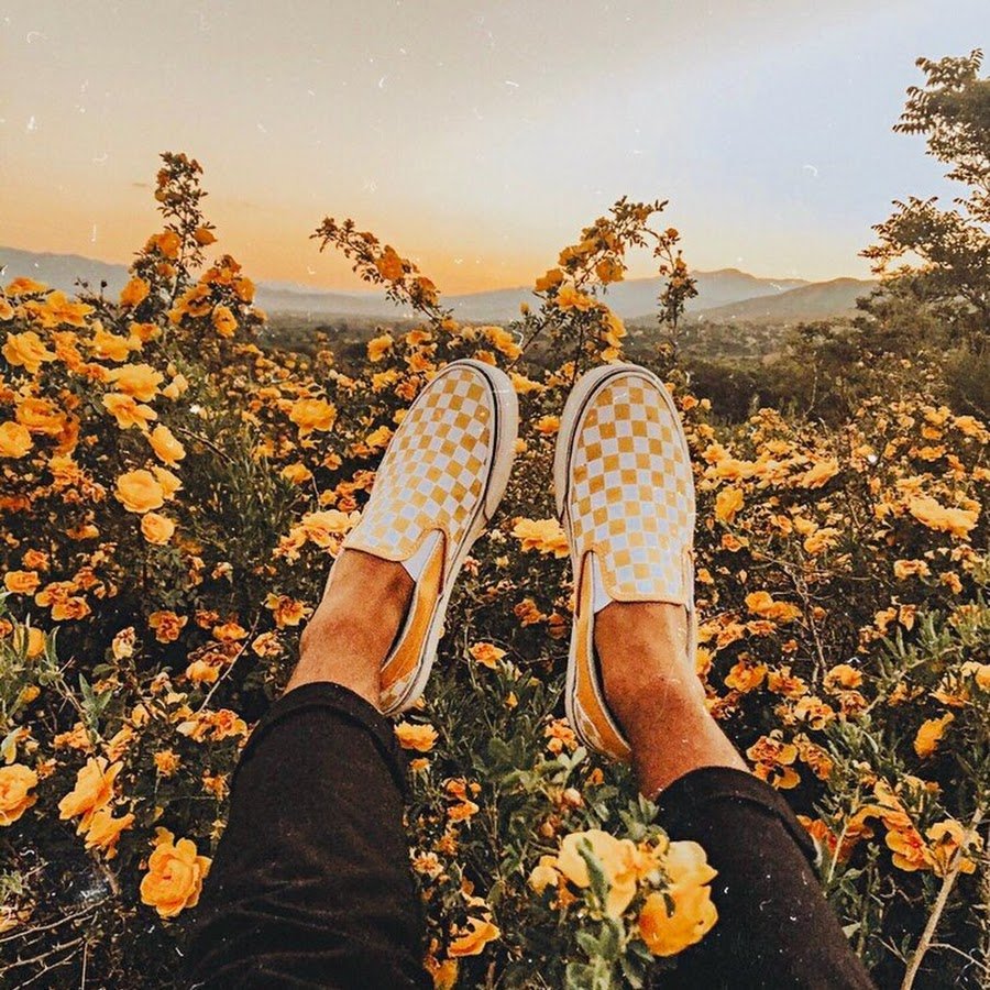 Красивые картинки Эстетика