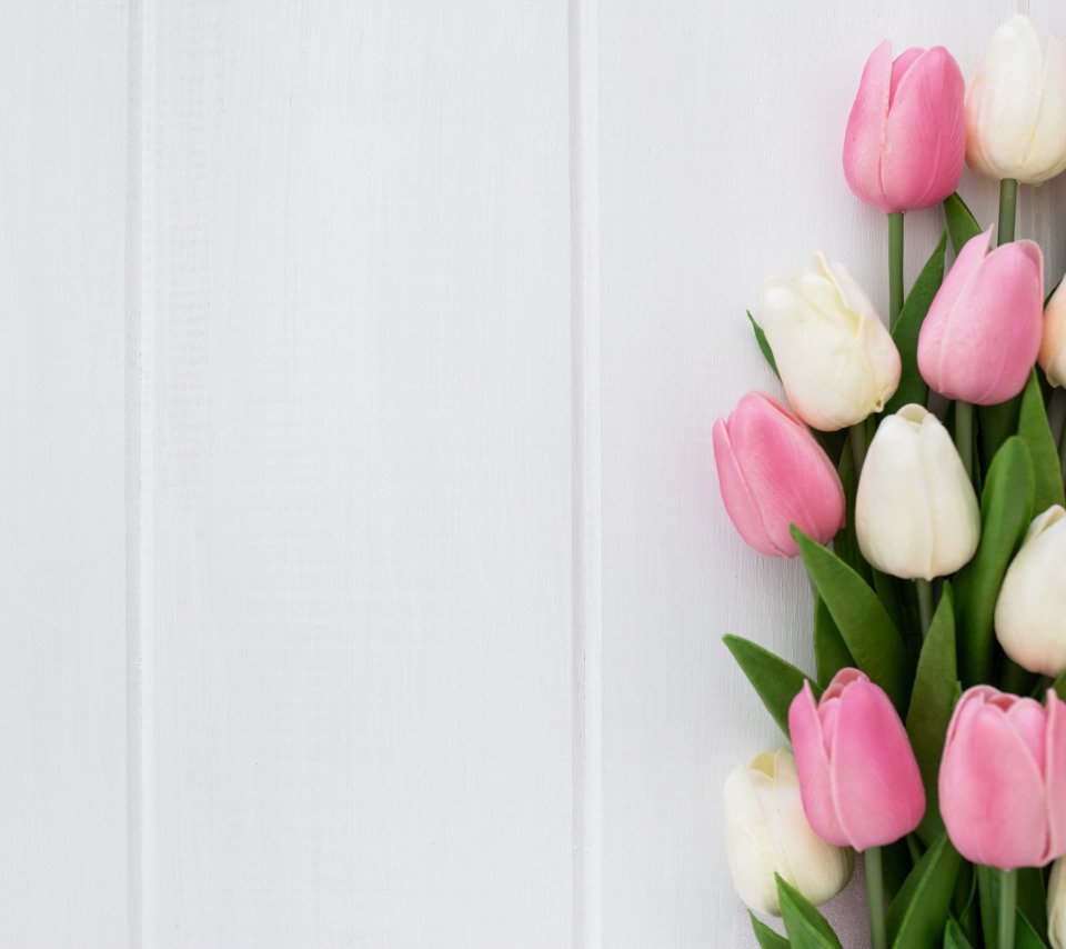 Тюльпаны букет на Светлом фоне