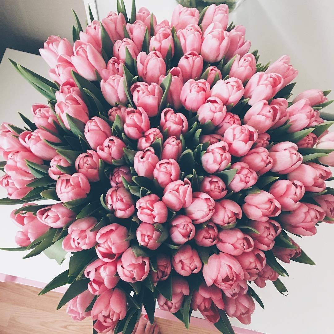Шикарный букет тюльпанов