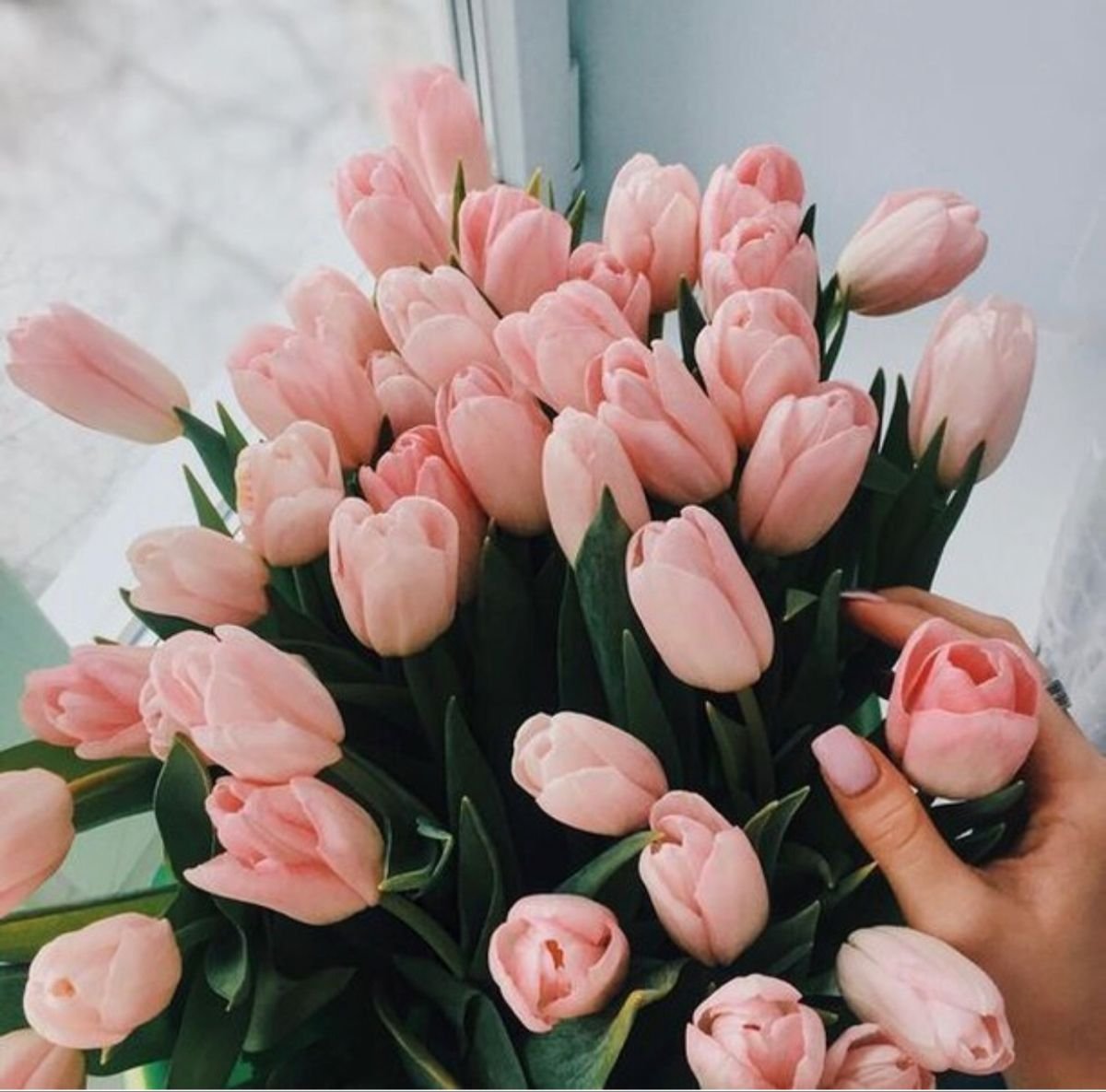 Селфи с букетом тюльпанов