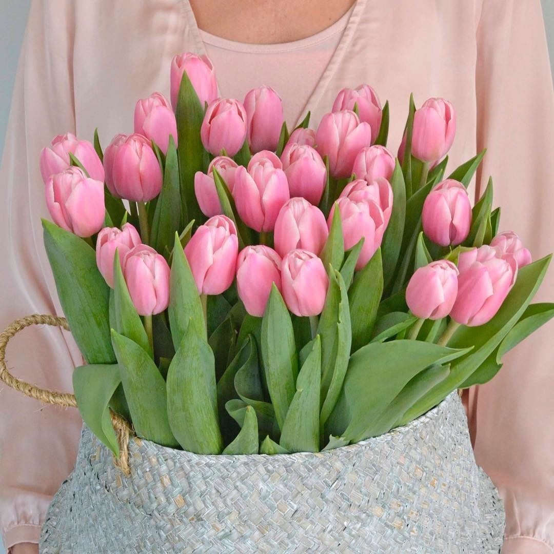 Красивый букет розовых тюльпанов