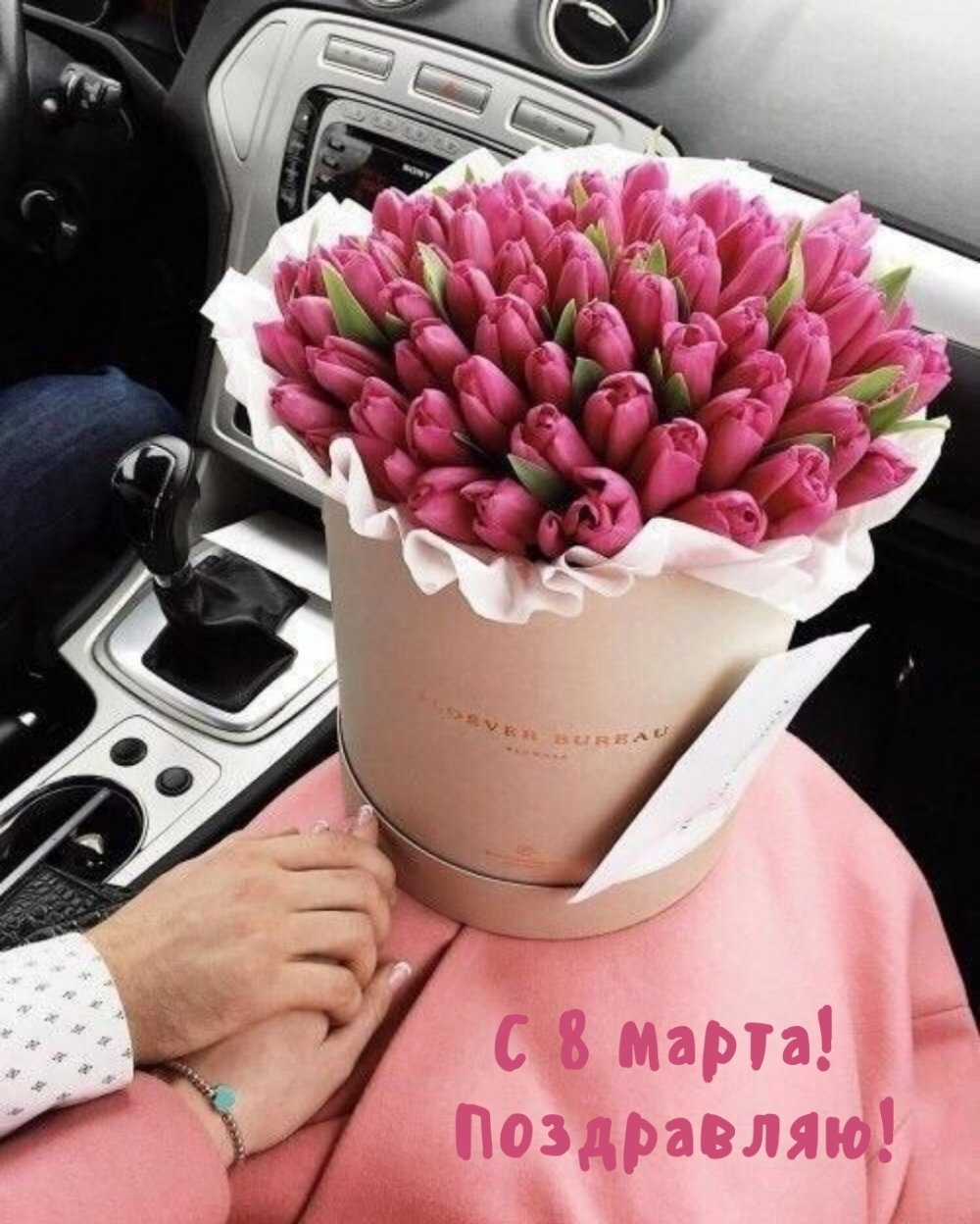 Тюльпан сиреневый