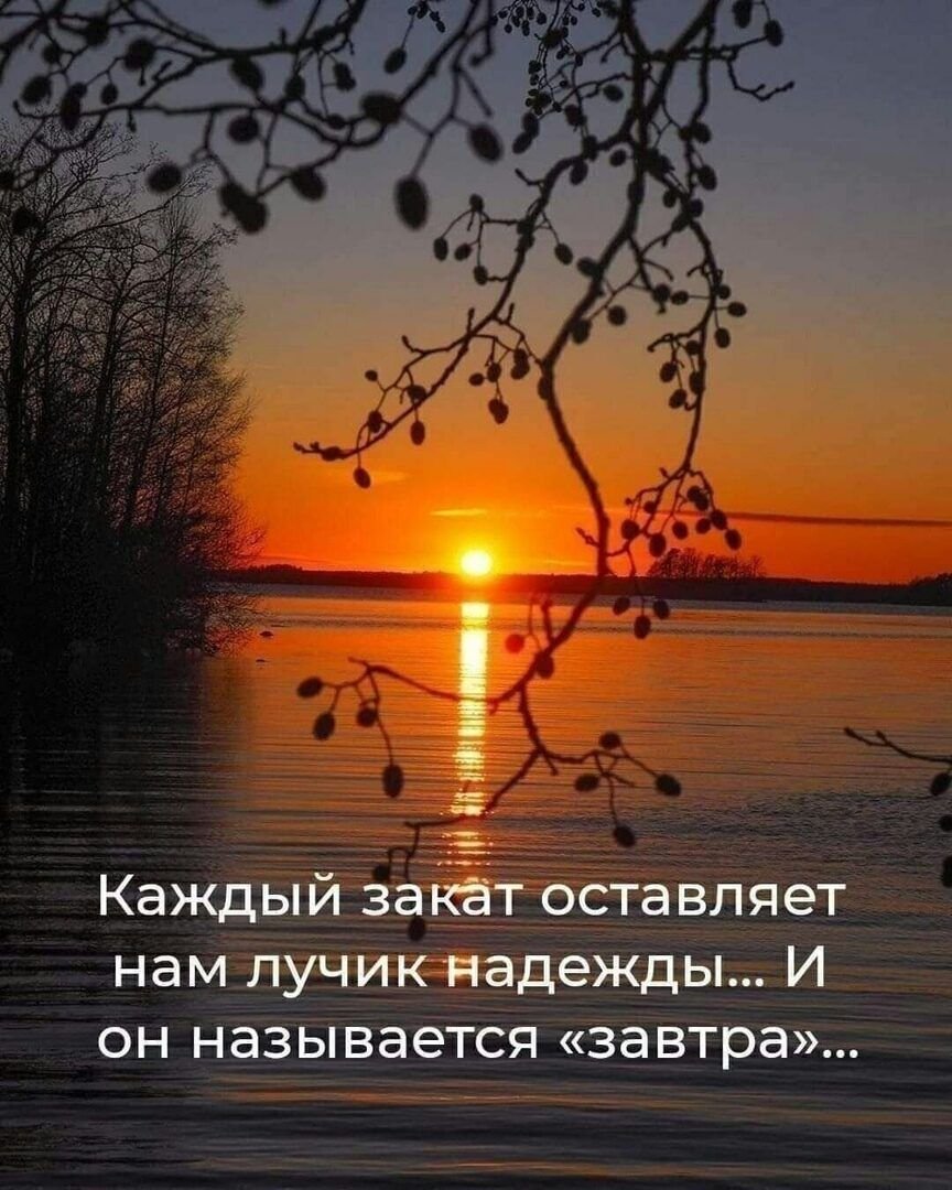 Ночь сладких снов