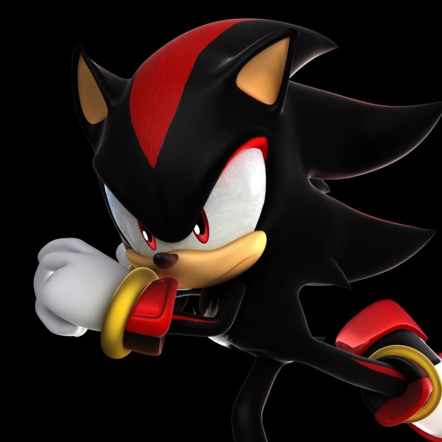 Ёж Шедоу и Соник