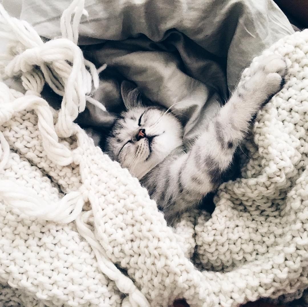 Вдохновляющих снов