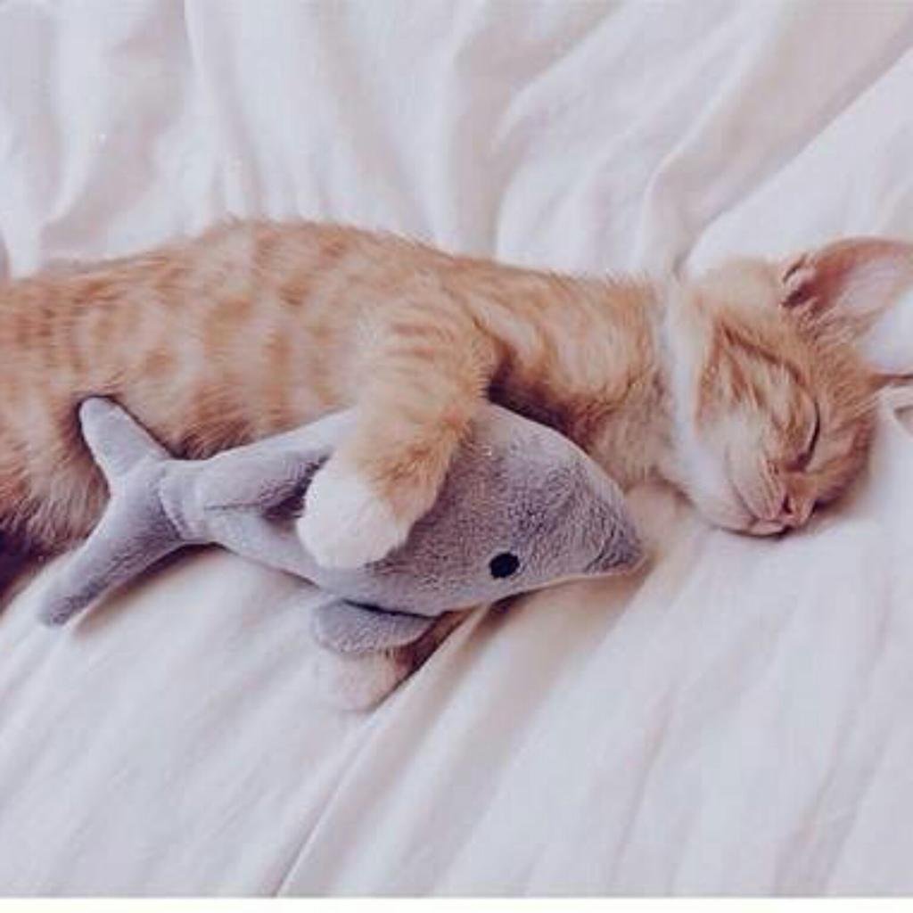 Кружка " кот, кофе"