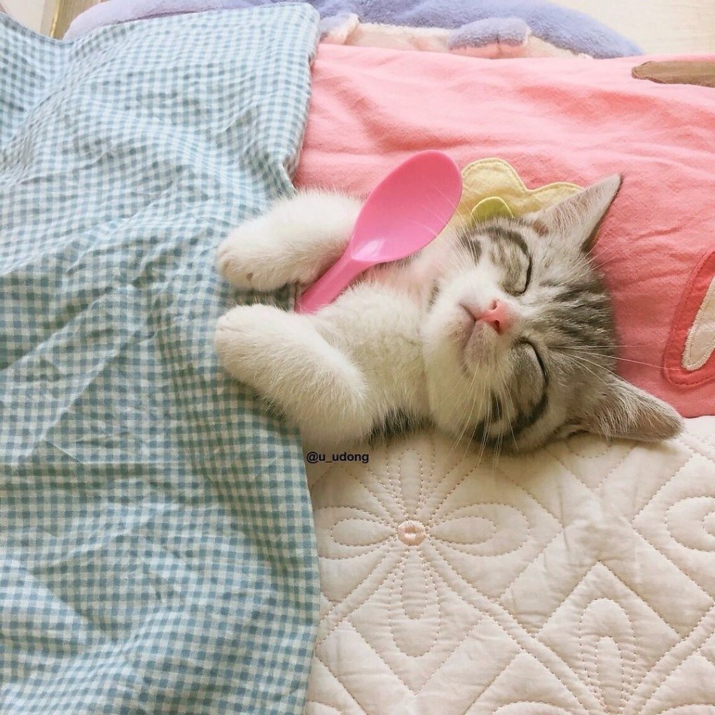 Выходной спать