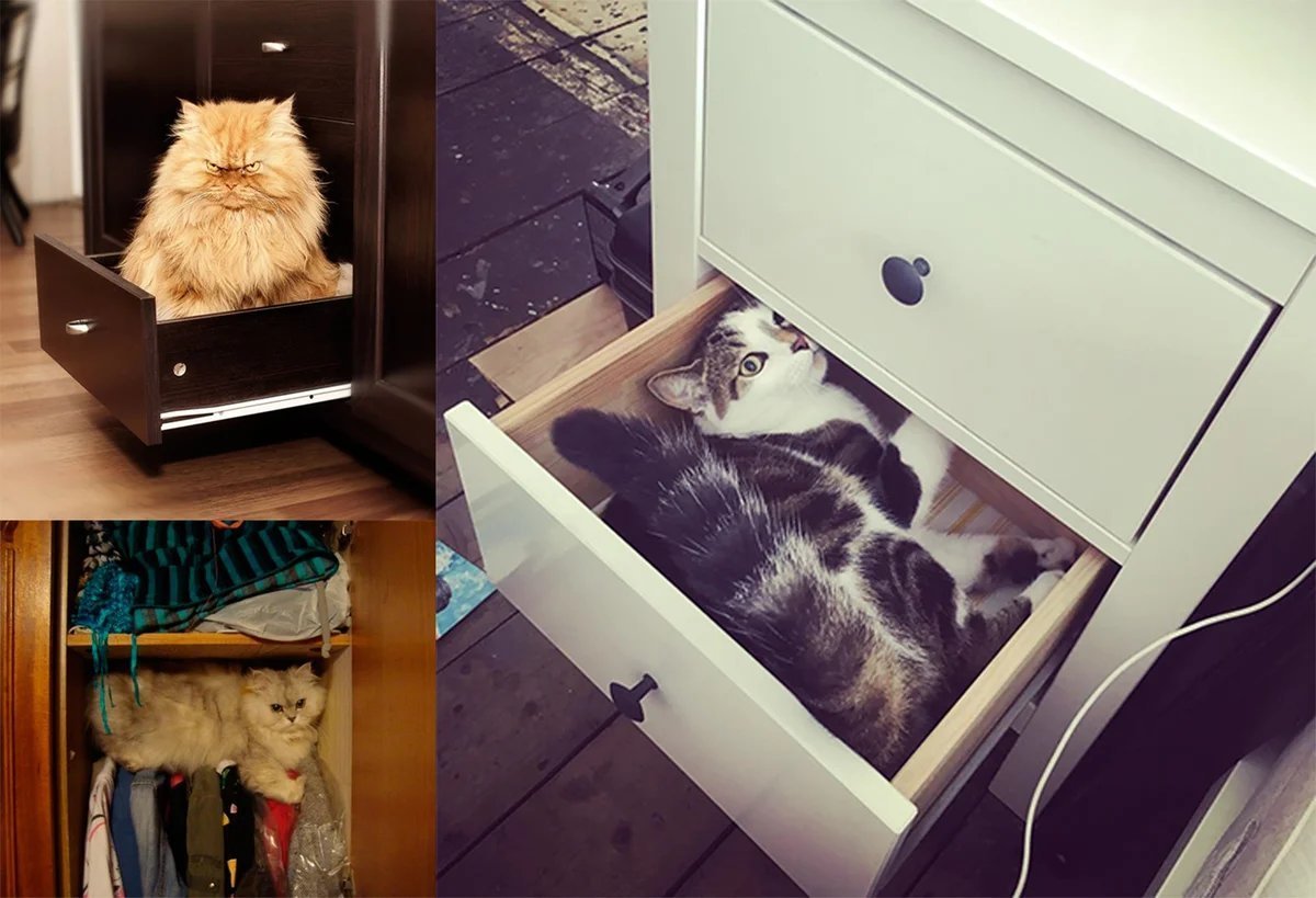 Милые котята Эстетика