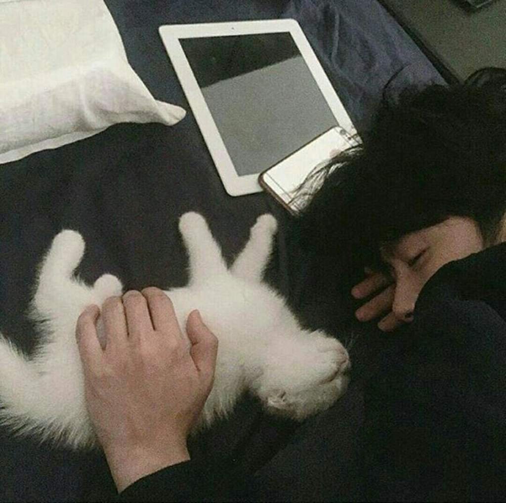 Кот с тобой на кровати