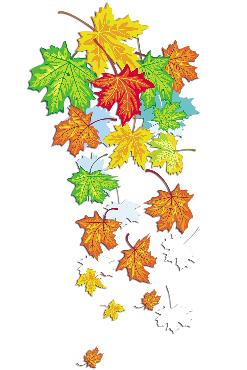 Осенние листья
