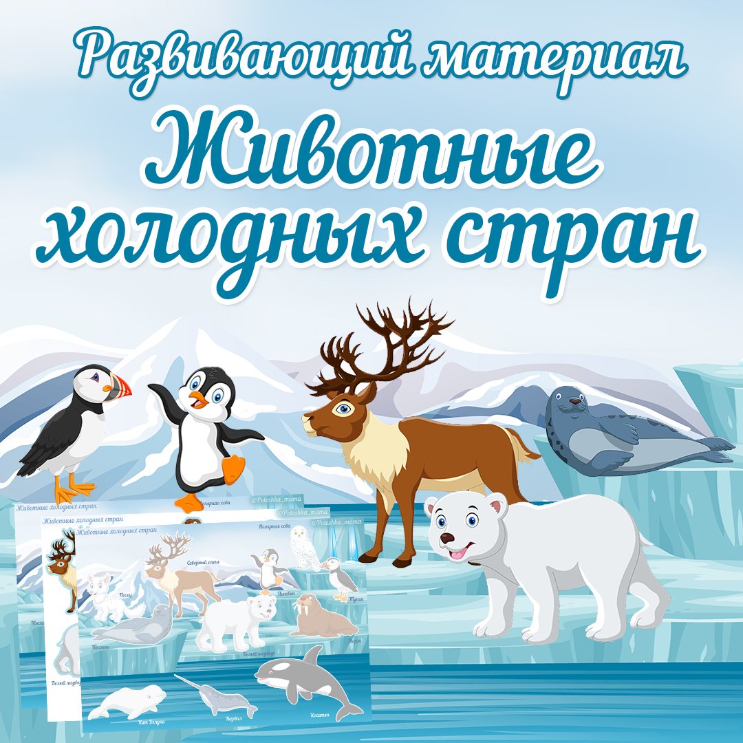 Животные холодных стран