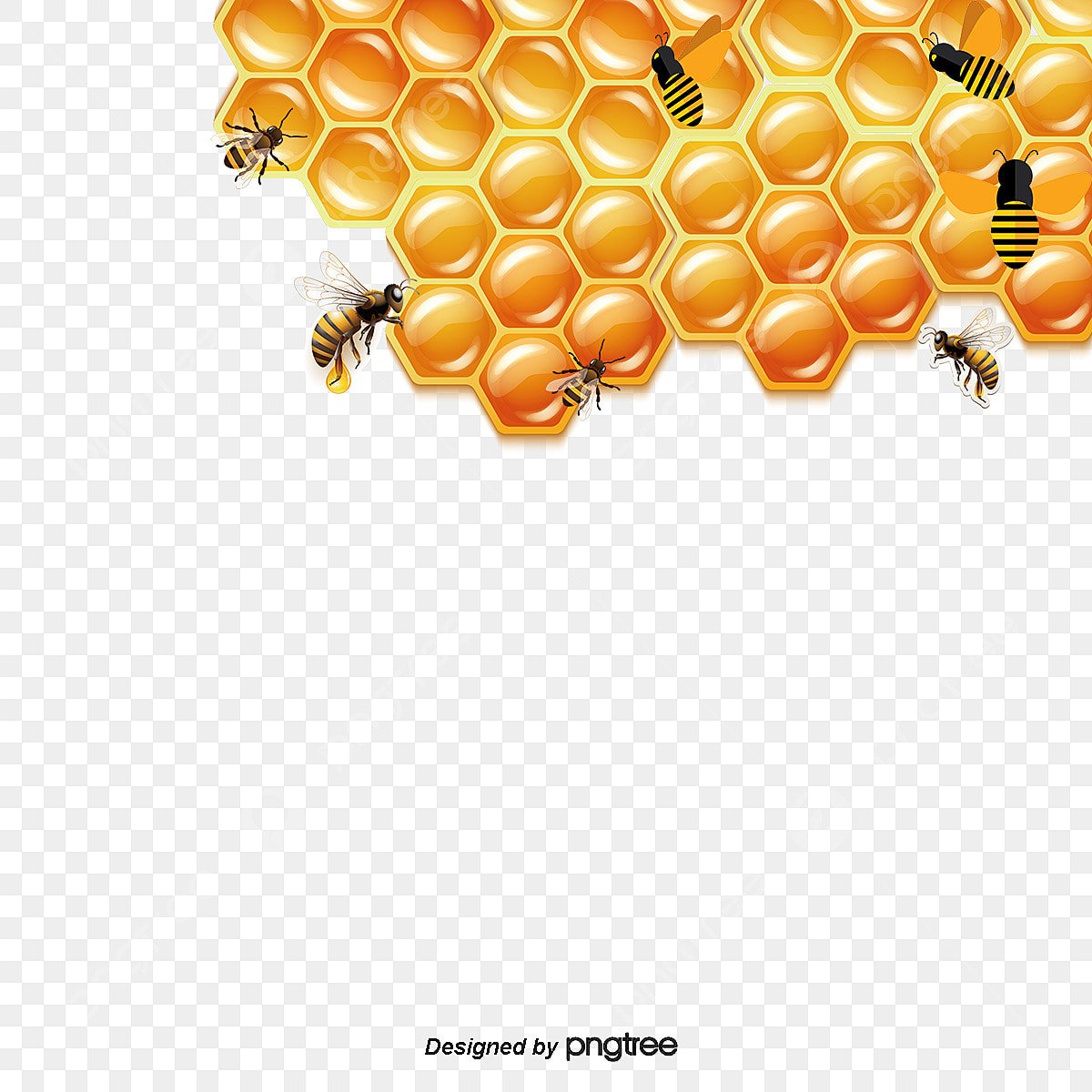 Соты пчелиные