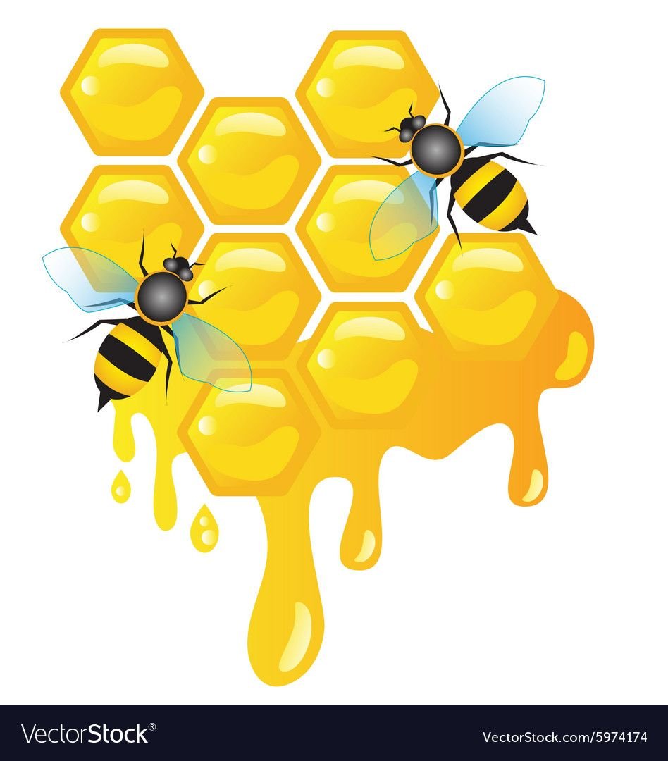 Логотип с пчелой и сотами