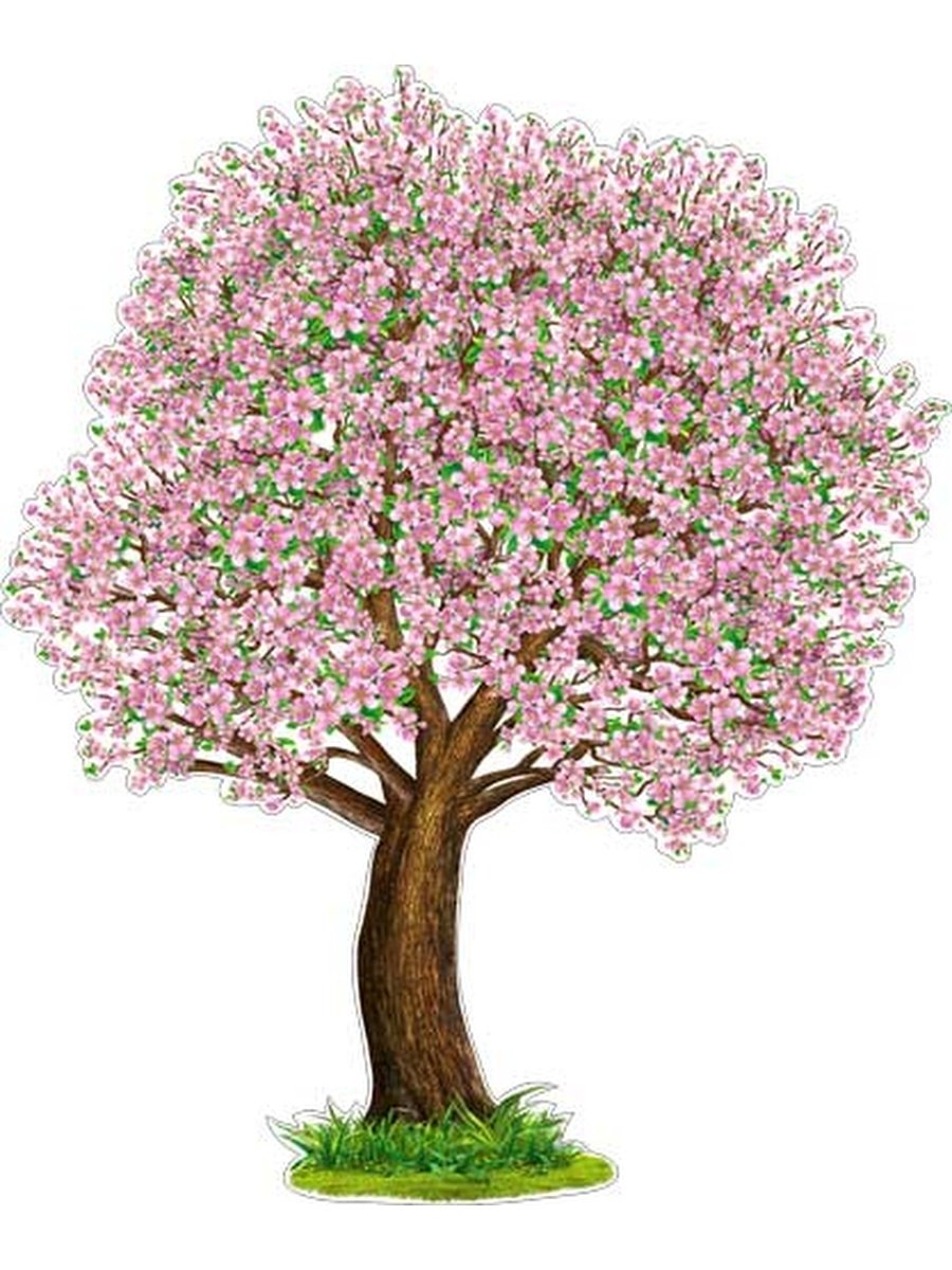 Весеннее дерево