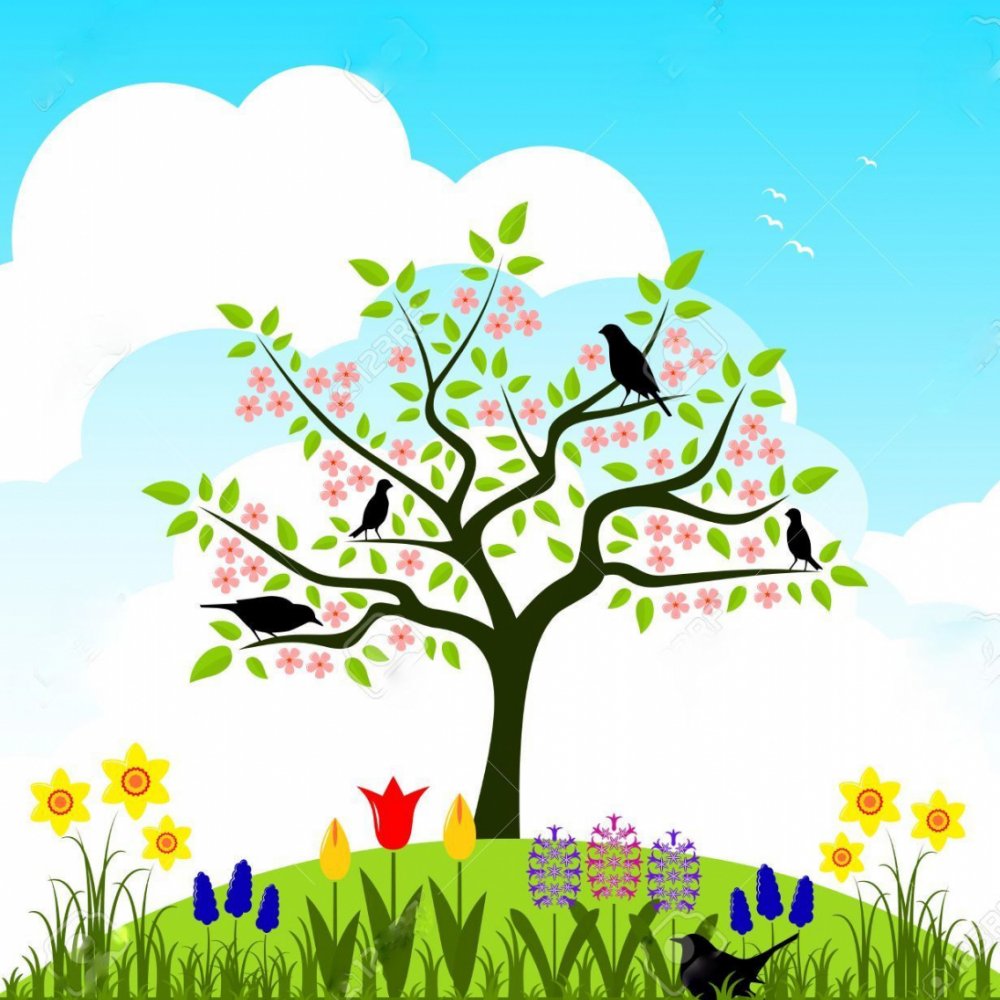 Черри блоссом арт