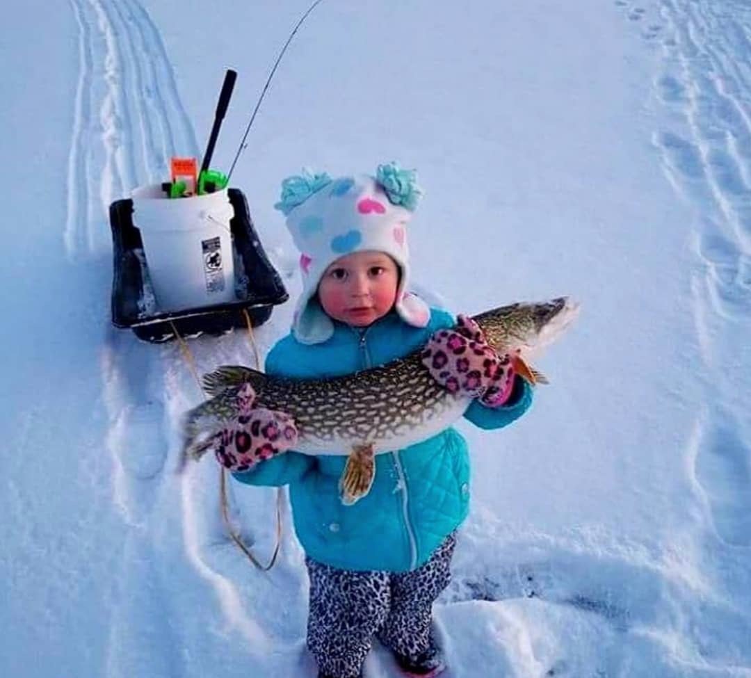 Доброе утро на рыбалке
