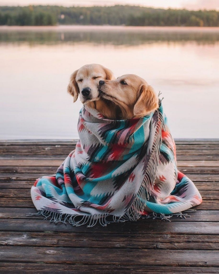 Позитивные картины для поднятия настроения