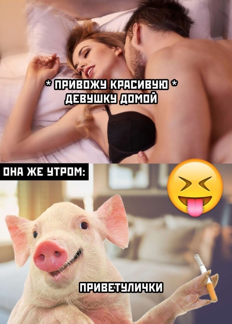 Современные приколы в картинках