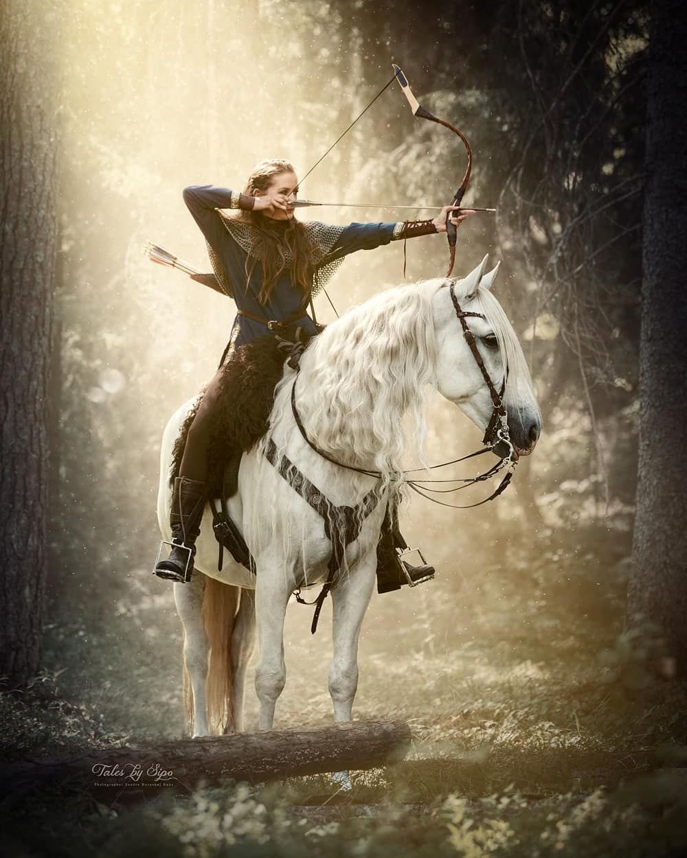 Шарж рыцарь на коне