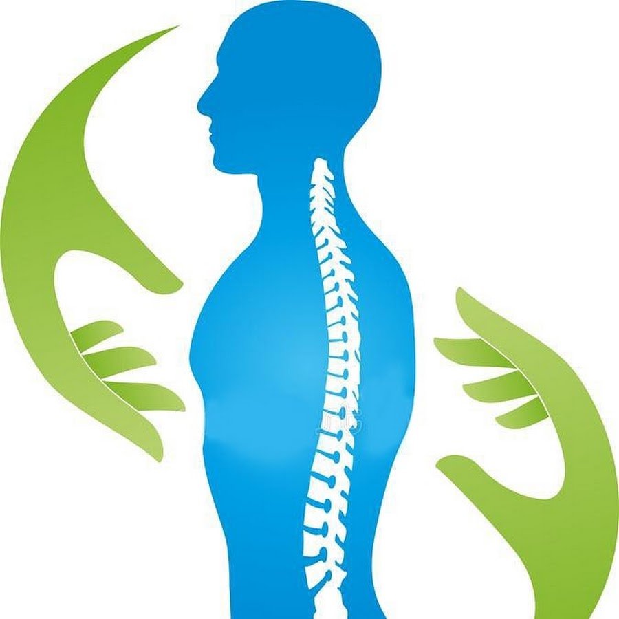 Здоровая спина позвоночник