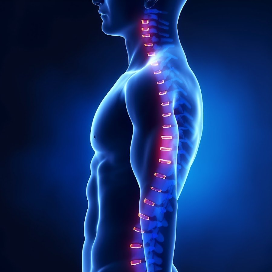 Красивая осанка девушки