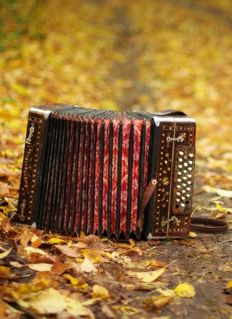 Гармонь тальянка