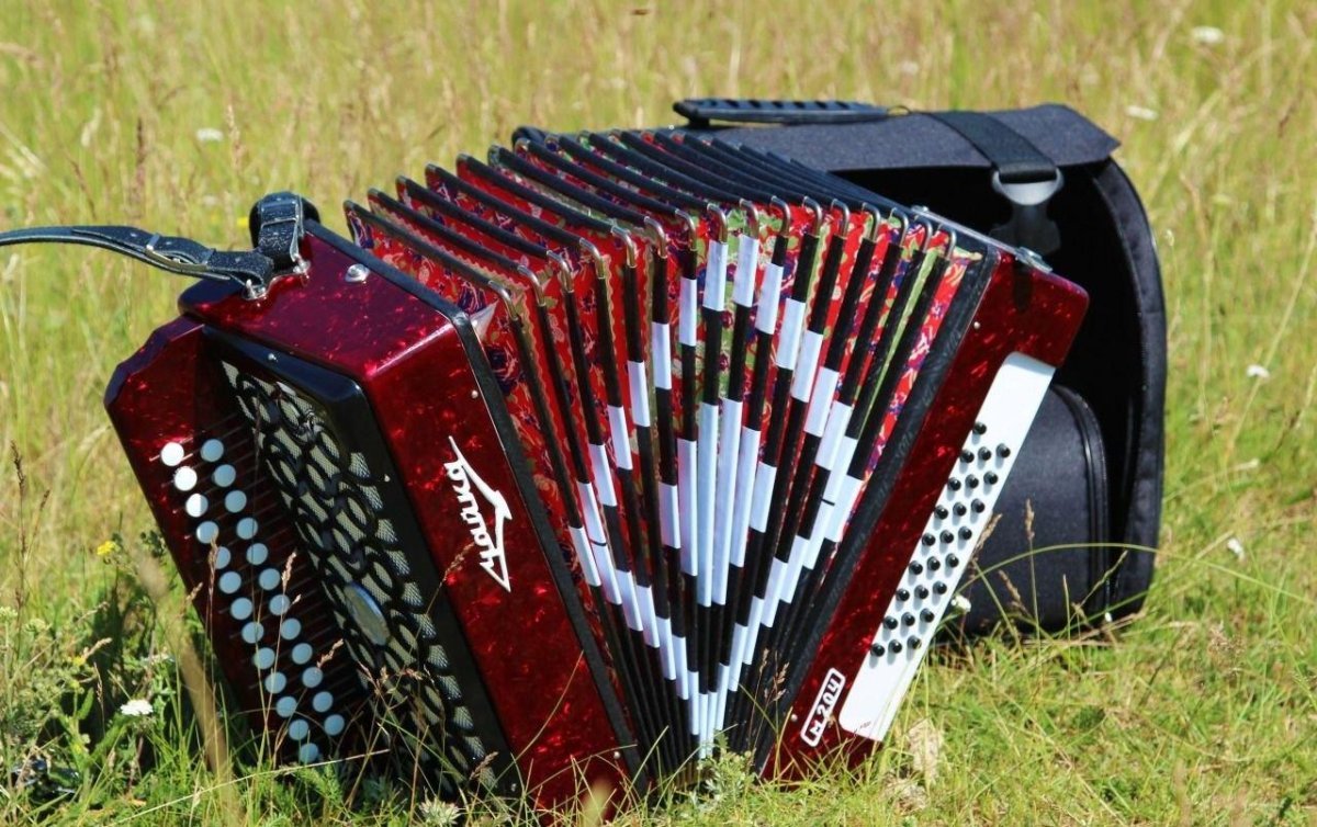 Гармонь Чайка м 204