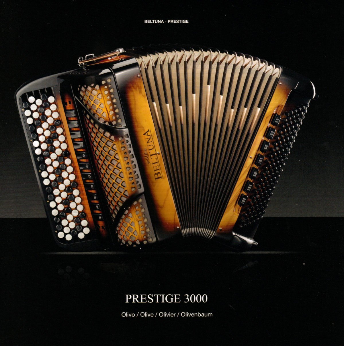 Красивый аккордеон