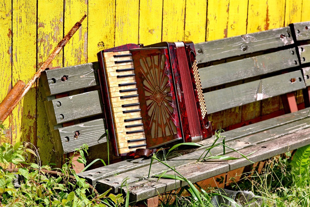 Гармонь Нарач 2