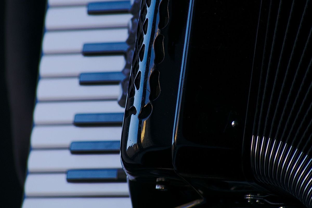 Баян на темном фоне