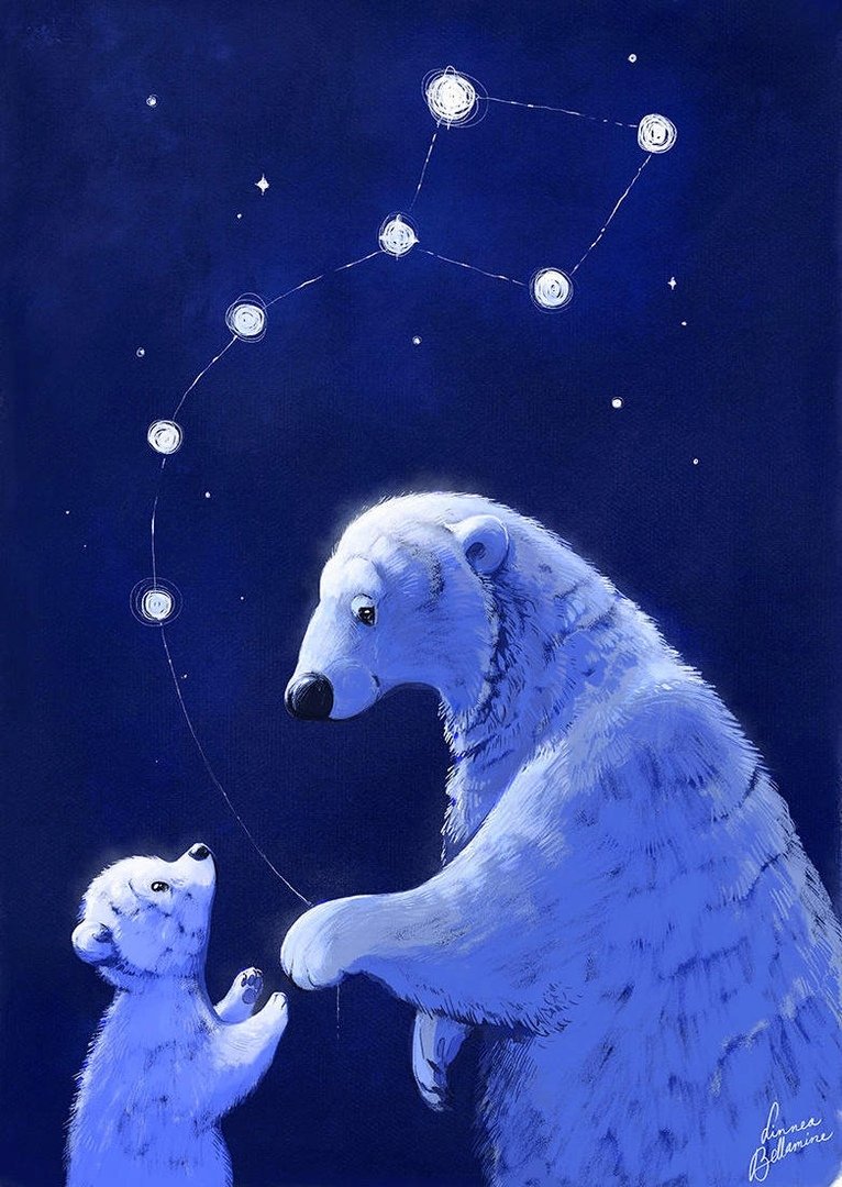 Большая Медведица Созвездие