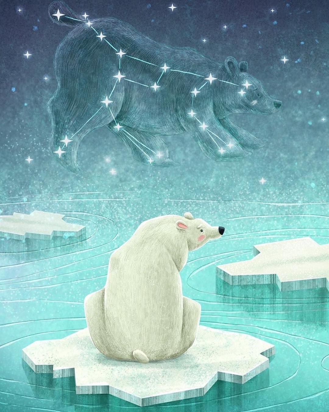 Белый медведь на льдине